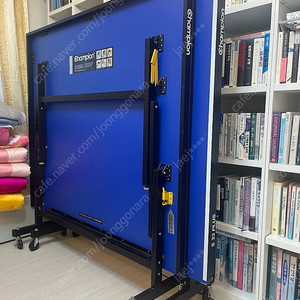 챔피온 탁구대 팝니다(모델명: 3 SS PLUS)