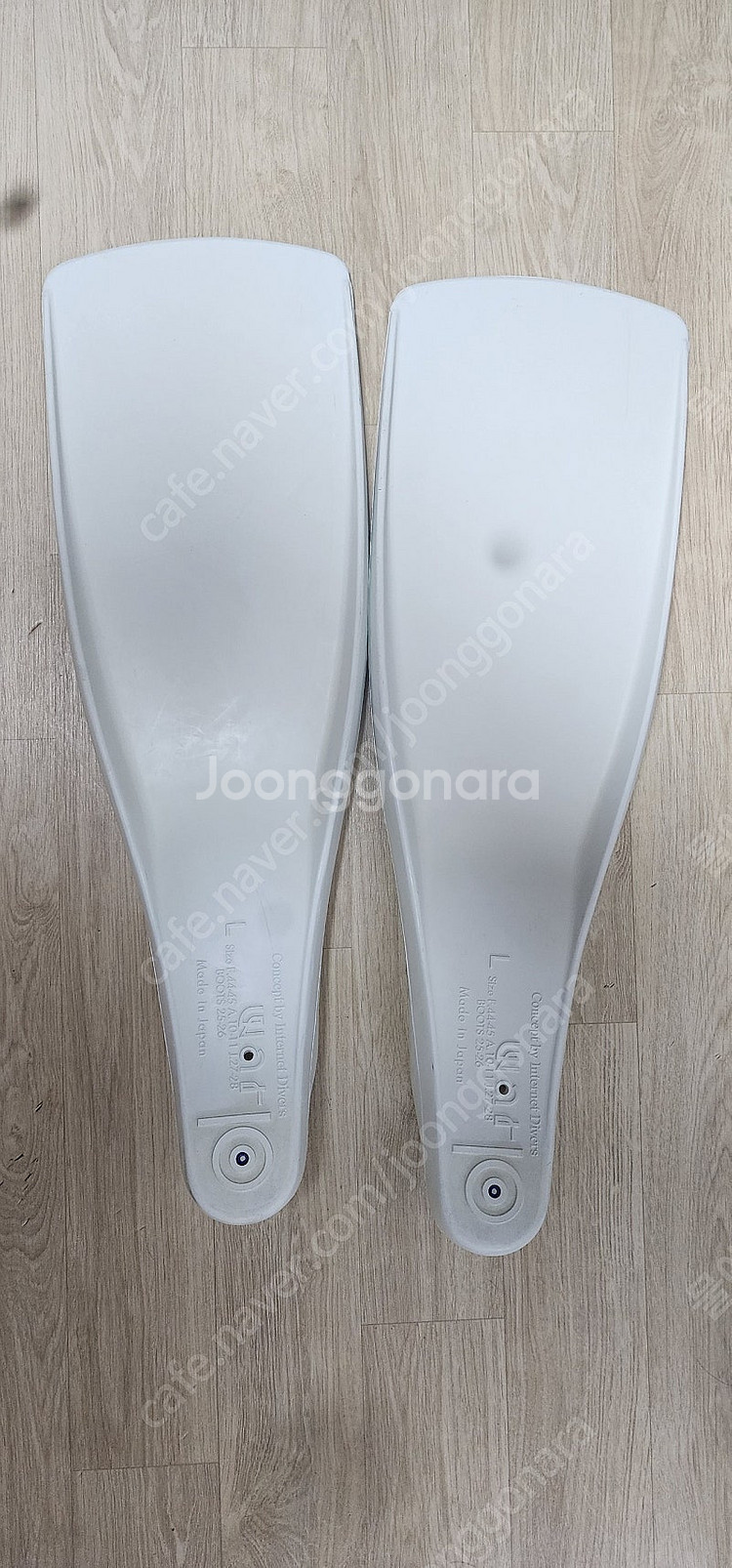 스쿠버다이빙 걸 와프핀--0