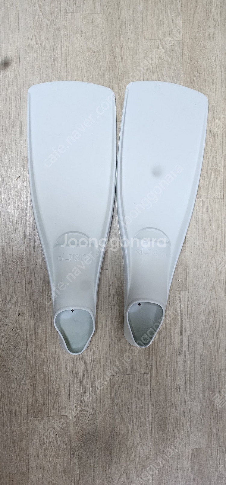 스쿠버다이빙 걸 와프핀--1