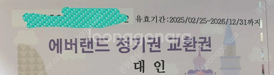 에버랜드 정기권 스탠다드 365 대인 1매--1