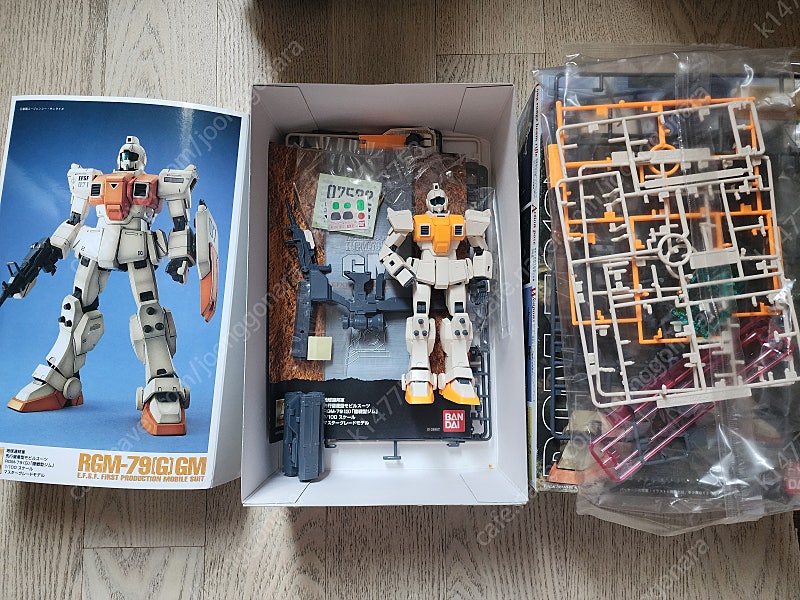 mg rgm-79 (g)gm