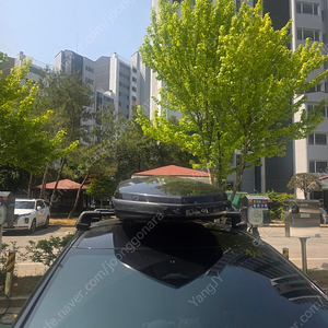 툴레 다이나믹800 루프박스