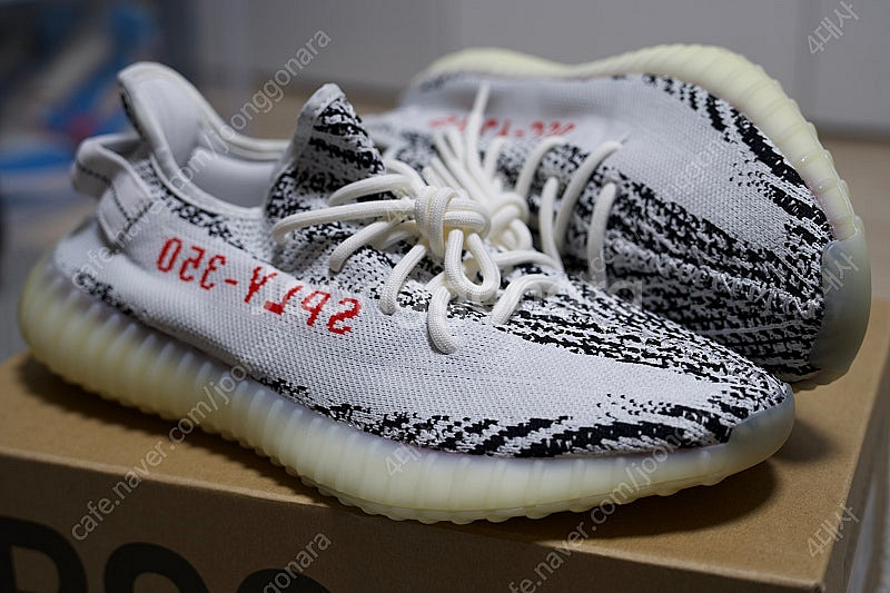 285이지부스트350v2 지브라 아코탭 새제품--0