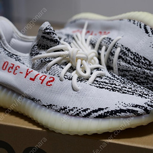 285이지부스트350v2 지브라 아코탭 새제품