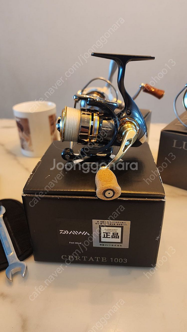 13세르테이트1003--0