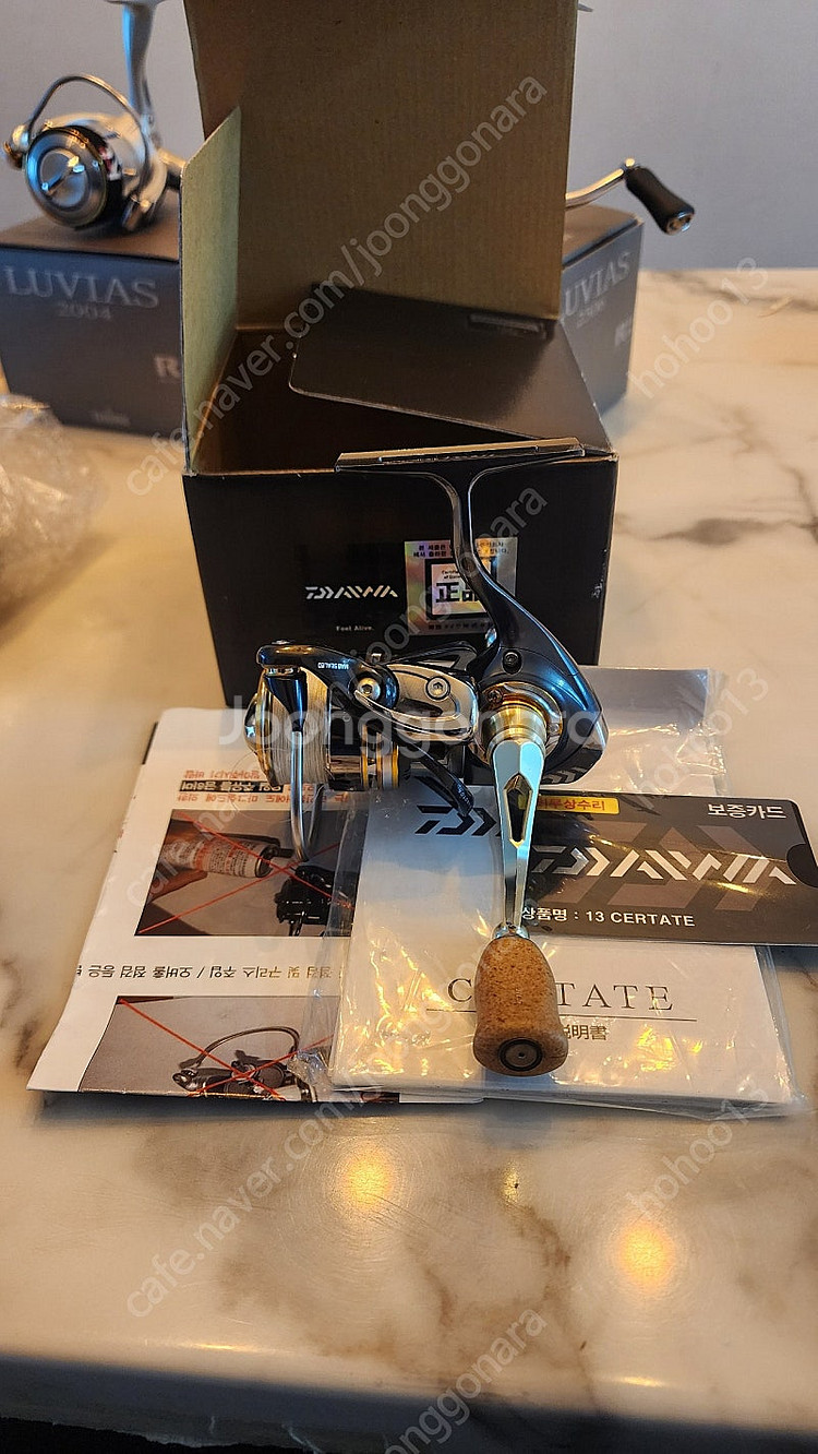 13세르테이트1003--1