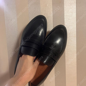 쿠에른 런던로퍼 09 240