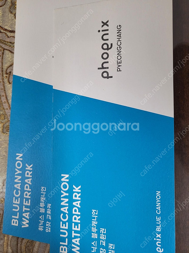 휘닉스 블루캐니언 워터파크 종일권--0