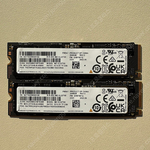 삼성 2TB SSD PM9A1
