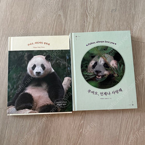 푸바오 포토에세이 2권