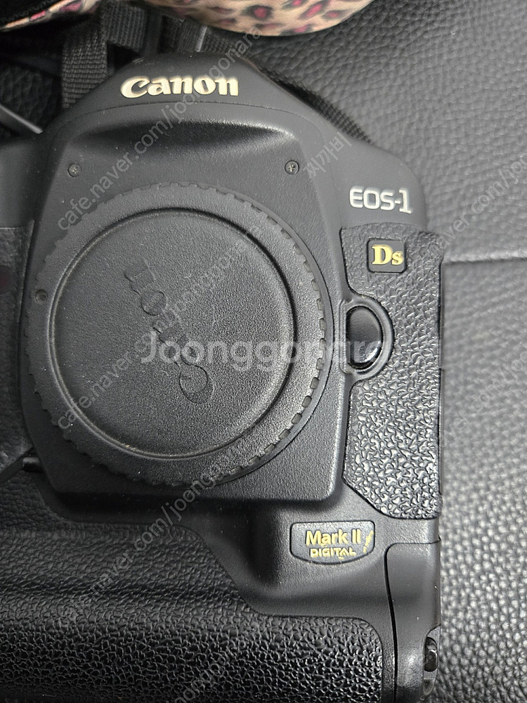 캐논 EOS 1DS MARK2 포함 렌즈3개 풀세트 판...--1