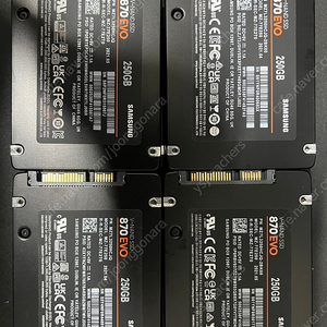 삼성 870 evo 250gb 10개