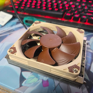 NOCTUA NH-L9a-AM4 4만원