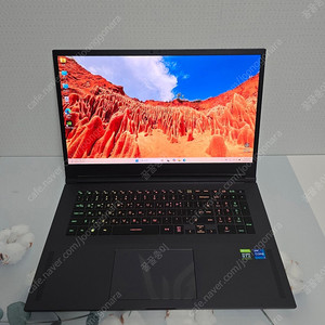 LG 울트라기어 RTX3080 노트북 120만원에 급처분 합니다! ( 17G90Q-XD79K )