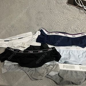 팬티