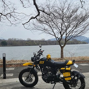 트래커125r 데려가세요