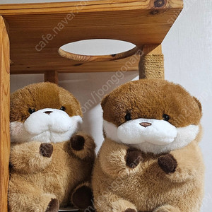 속았지우소우소 인형