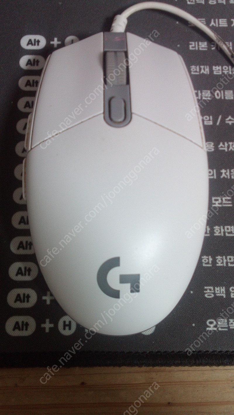 로지텍 g101 2세대 유선 마우스 택포 6천원 흰색