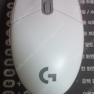 로지텍 g101 2세대 유선 마우스 택포 6천원 흰색