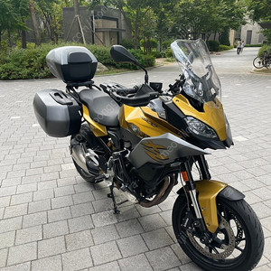 F900xr 갈바닉골드 1대주 3박스