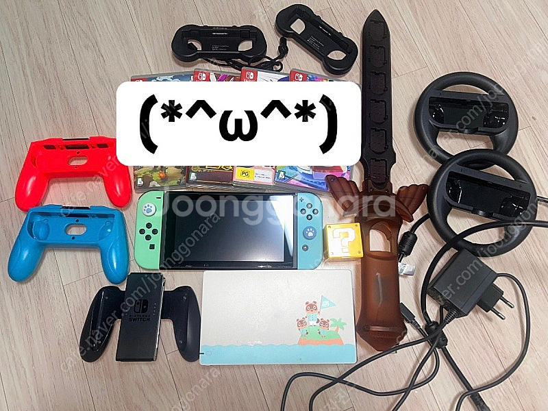 닌텐도 스위치 동물의 숲 에디션 (게임팩포함)--0