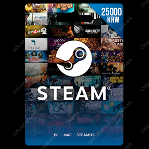 스팀 월렛 25,000원권 팝니다
