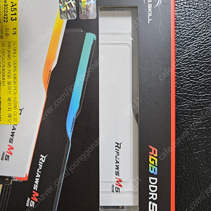지스킬 RIPJAWS M5 CL32 DDR5-6400 64GB 화이트 패키지 미개봉