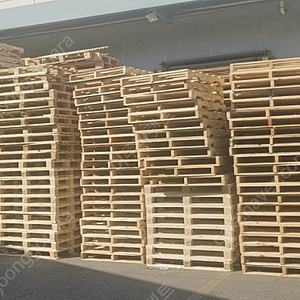 막파렛트 혼합 2000원 중고파렛트 수리되지않은파렛트 골라쓰는파렛트 골라서줄수없는파렛트