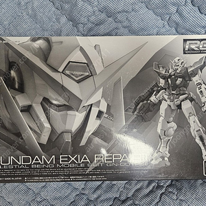 rg 엑시아 리페어2