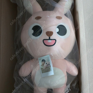 데이식스 데니멀즈 자이언트 필끼