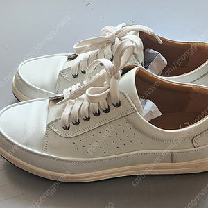 레노마 스니커즈 265