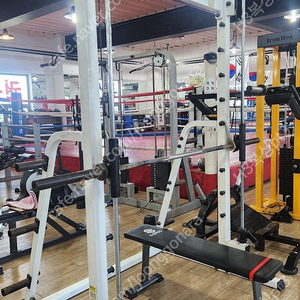 헬스기구3종 판매합니다(체스트머신,스쿼트머신,스미스머신)