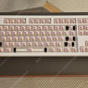아콘 FX2 + 프린세스축(28g)