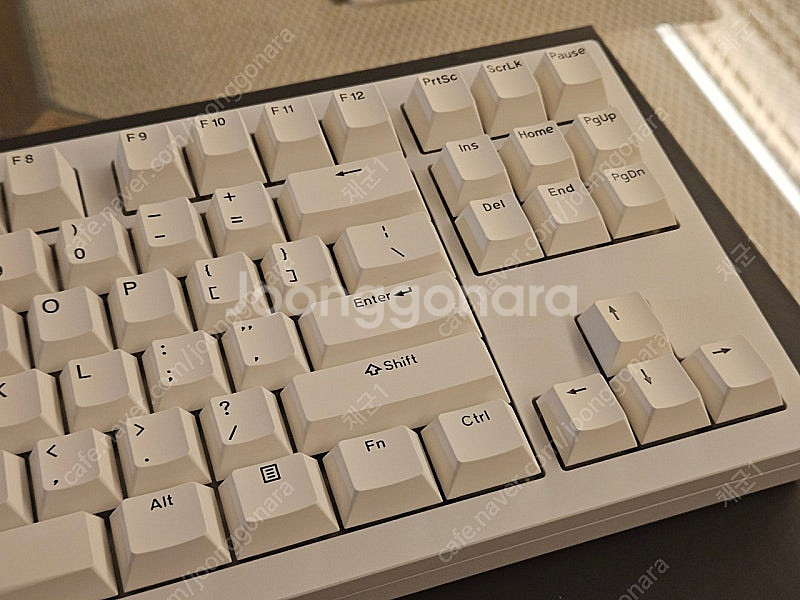 아콘 FX2 + 프린세스축(28g)--4