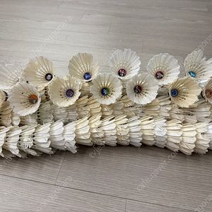 B급 레슨콕 및 학교 레슨콕 셔틀콕