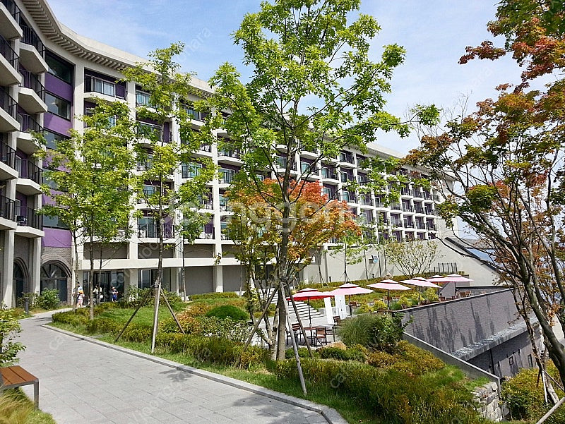 ( 주말예약 ) 한화리조트 [설악쏘라노/경주/거제/대천...--0