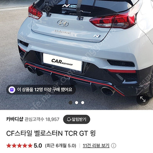 벨로스터N GT멜빵윙판매합니다