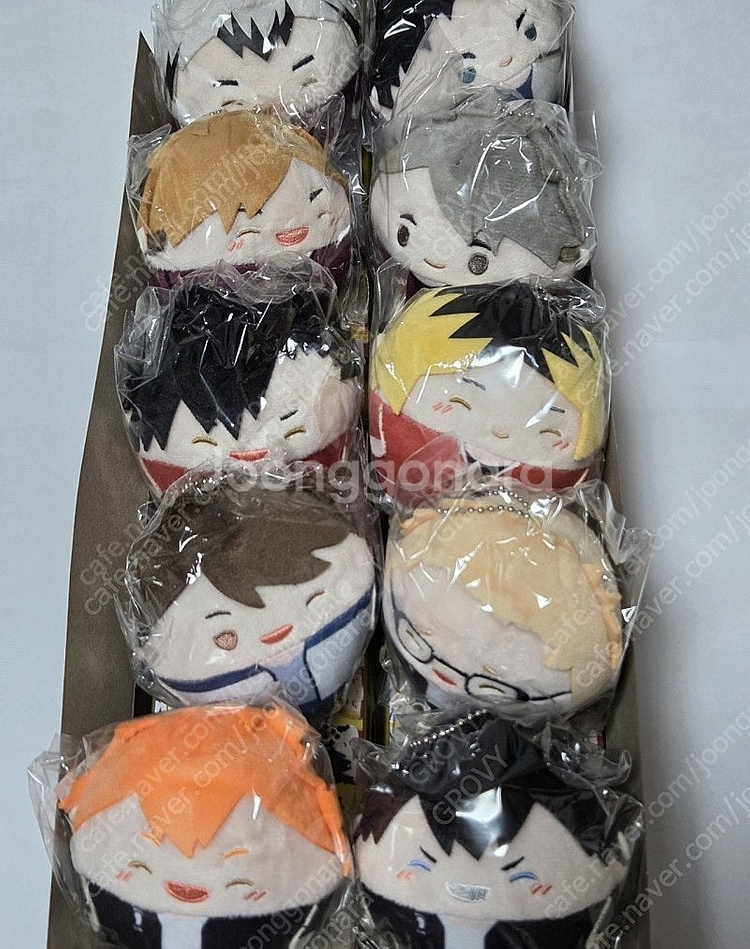 하이큐 후와코로링--0