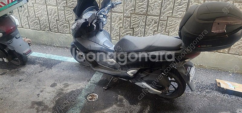 pcx125 20년식 11000~12000키로 팝니다--1