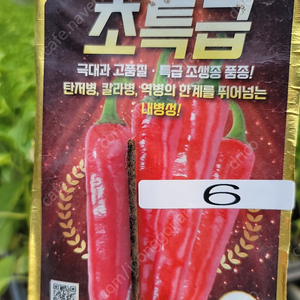 농우 초특급 300원 판매