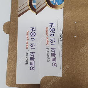 제주 김녕요트 돌고래 투어일반 60분코스 2인(2매)