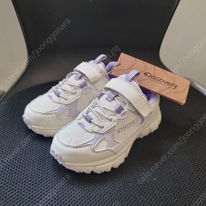 디스커버리 마운틴LT 키즈 퍼플 190미리