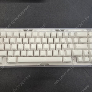 Bauer lite x-ray edition 베어본