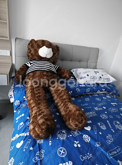 대형 곰돌이 인형 140cm 곰인형--0