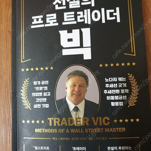 전설의 프로 트레이더 빅 주식 투자