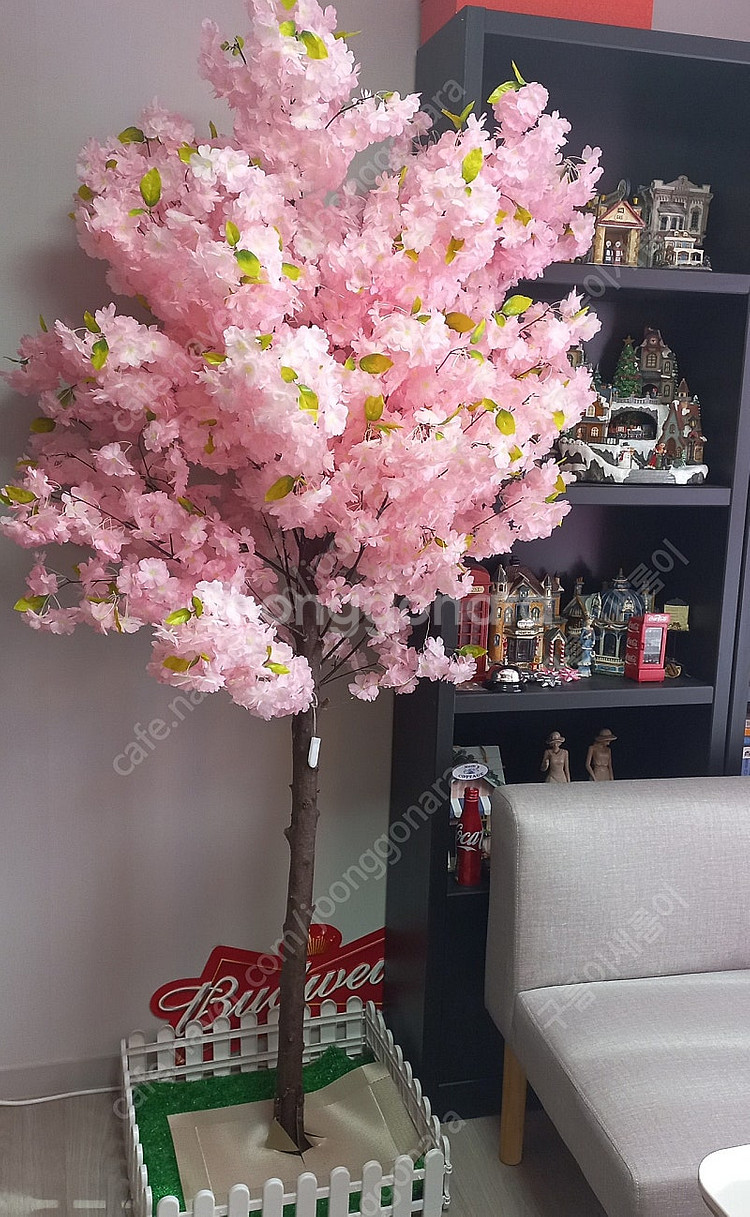 벚꽃나무--0