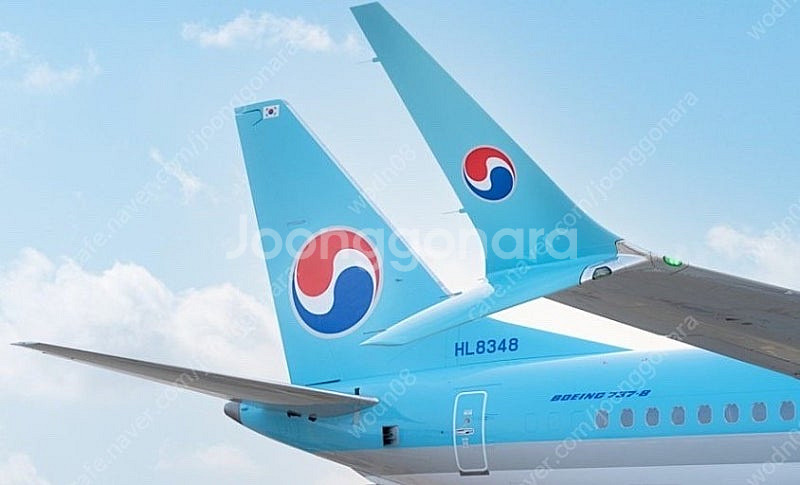 국내선 비행기 항공권 10만원이상 2만원 할인 예매해드...--0