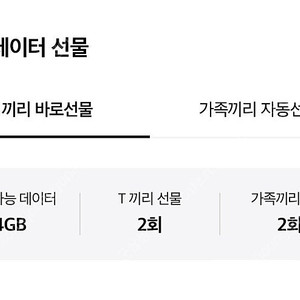 SKT 데이터 2GB 2기가 일괄 3,000원