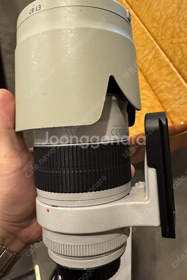 캐논 ef 70-200mm f2.8l is iii 새새...--2