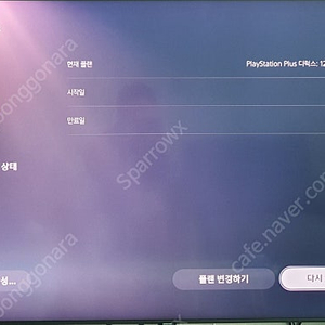 PS PLUS 디럭스 약 9개월